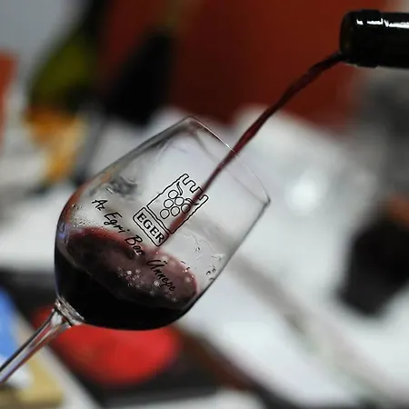 Oliaparman Apartament